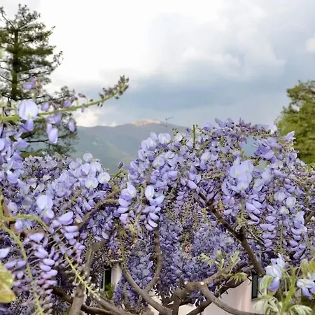 With A View Villa Longone al Segrino